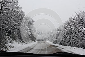 Winter driving, snow covered trees lining rural road