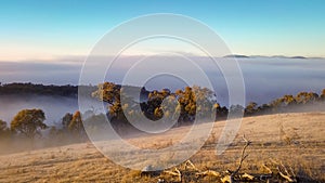 A winter morning landscape in Mulligans Flat Nature Reserve, Australian Capital Territory photo