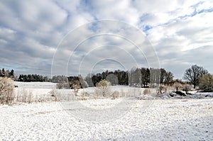 Winter European Farmland