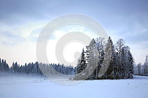 Winter Evening Landscape with Fog and Frosted Trees
