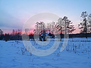 winter evening in the Russian village snow sunset pine trees
