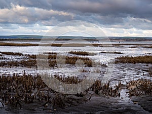 Winter evening view of the Skern area of Northam Burrows, near Appledore, North Devon.