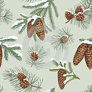 Winter evergreen christmas tree branches covered by snow. Winter holiday floral seamless pattern. Nature background with spruce,