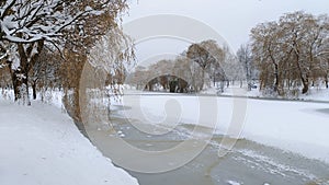 In winter everything is covered with snow, and the water channel in the city park is covered with thin ice and willow branches lea