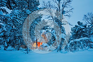 Winter fairy night - wooden house in blue snowy forest