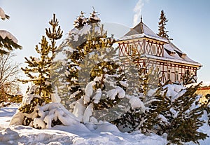 Winter fairy tale in Slovakia