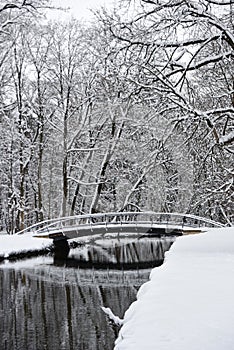 Winter fairytale bridge