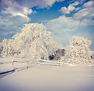 Winter fairytale, heavy snowfall covered the trees and houses