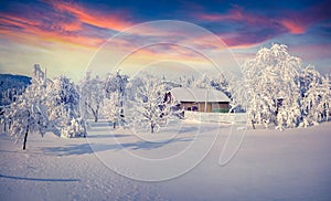 Winter fairytale, heavy snowfall covered the trees and houses in