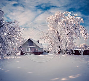 Winter fairytale, heavy snowfall covered the trees and houses in