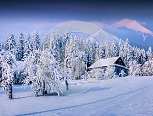 Winter fairytale, heavy snowfall covered the trees and houses in