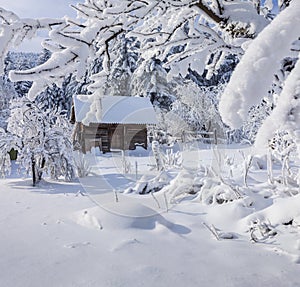 Winter fairytale, heavy snowfall
