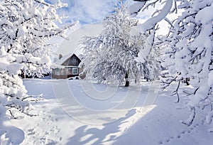 Winter fairytale, heavy snowfall