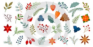 Winter fall berry spruce tree branch leaf flat set