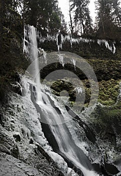 Winter Falls Silver Falls State Park