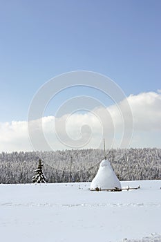 Winter farm field forest