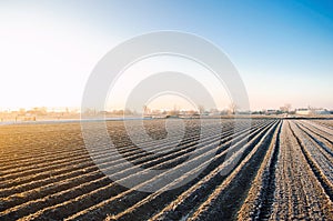 Winter farm field ready for new planting season. Agriculture and agribusiness. Preparatory agricultural work for spring. Choosing photo