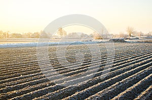 Winter farm field ready for new planting season. Preparatory agricultural work for spring. Choosing right time for sow fields