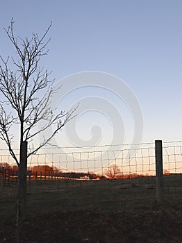 Winter Farm Scene, Wire Fence, Sunset