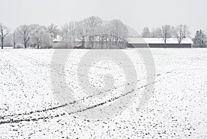 Winter Farming