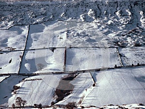 A winter farming