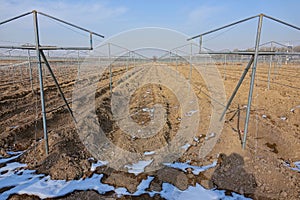 Winter farmland