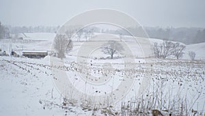 Winter farmland covered with snow, on foggy day