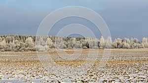 Winter farmland scenery landscape under snow with trees on background. Winter landscape with snow covered countryside.