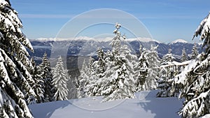 Winter in Fatra Mountains, Turiec Region, Slovakia