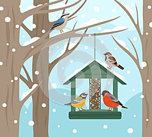 Winter feeder. Snow woodland, birds food on tree poster. Feeding wild animals on nature, flat bullfinch chickadee robin photo
