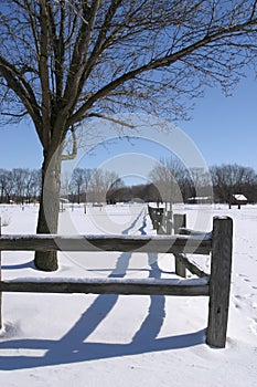 Winter Fence Line
