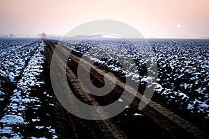 Winter field