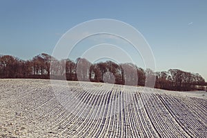 Winter field in central jutland in Denmark. Rural landscape