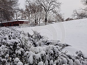 Winter field with heavy snow