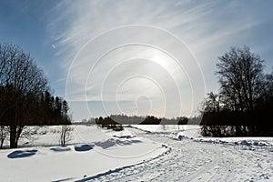 Winter field landscape with the frosty trees lit by soft sunset light - snowy landscape scene in warm tones