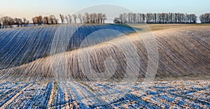 Field. a picturesque winter morning on a hilly field