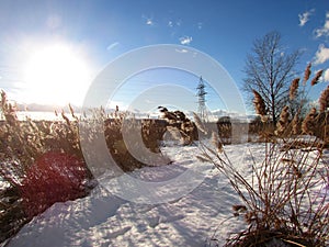 Winter field quiet, windless Sunny day