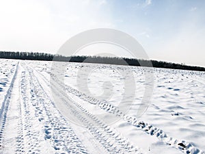 Winter field road