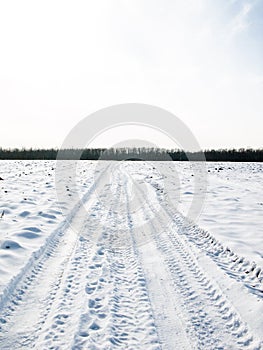Winter field road