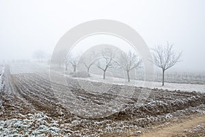 Winter on the field in South Moravia, Czech