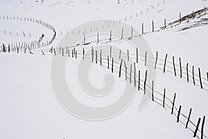 Winter fields