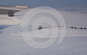 Winter fields