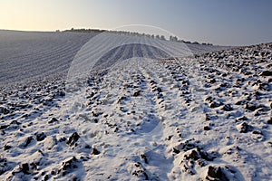 Winter fields