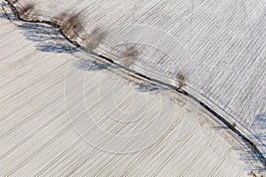 winter fields