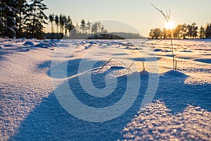 Winter fields sunset with snow