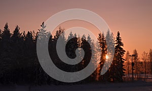 Winter in Finland, sunset, trees,