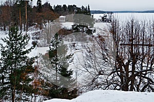 winter fir trees on the background of an antique gazebo in the fields in the white snow of a frozen lake with a forest