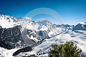 Winter fir trees in mountains covered with fresh snow.