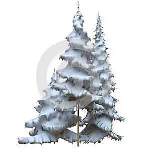 Winter fir trees under the snow isolated on white background 3d illustration