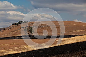 Winter Firebreaks Dry Landscape